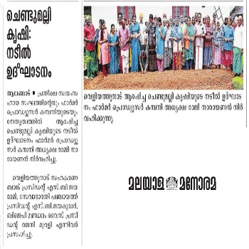 News report